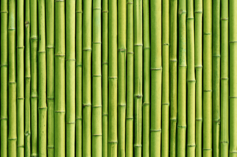 Bamboo flooring